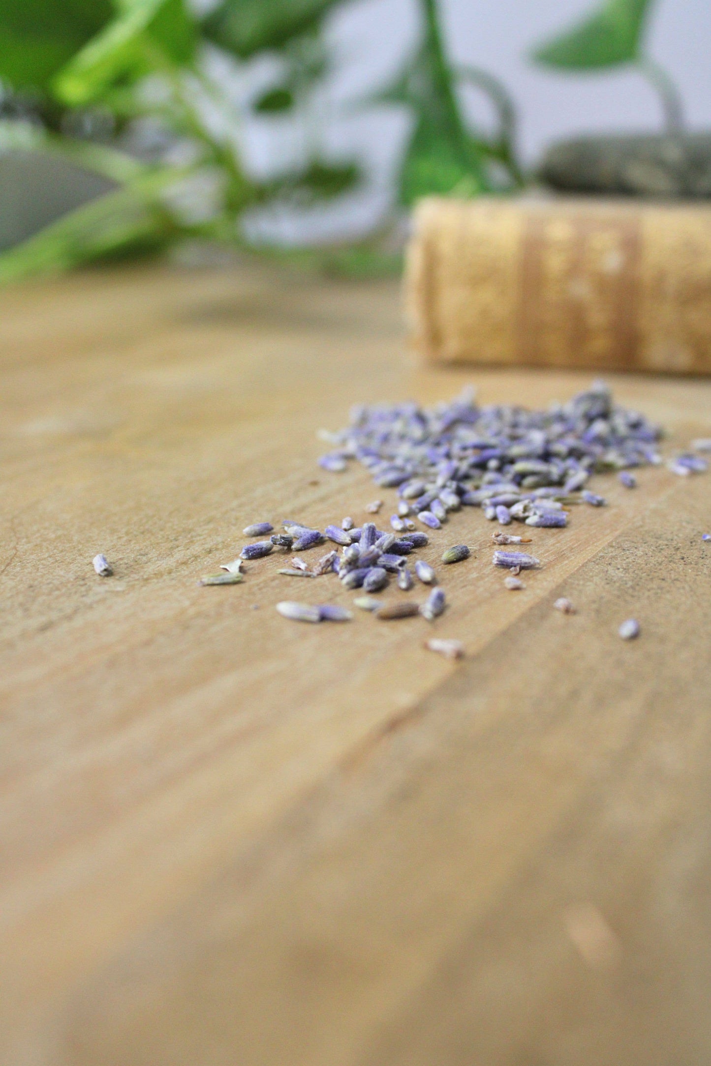 Organic French Lavender Sugar Scrub